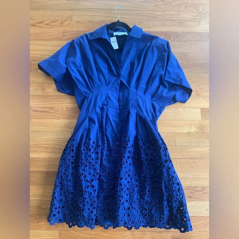 Anthropologie The Tobie Button-Front Pleated Mini Shirt Dress by Exquise - Picture 5 of 6